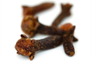 鹿胎的功效与作用,鹿胎的功效