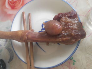 狗鞭的功效与作用,理解狗鞭